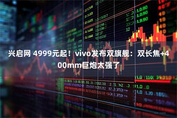 兴启网 4999元起！vivo发布双旗舰：双长焦+400mm巨炮太强了